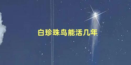 白珍珠鸟能活几年