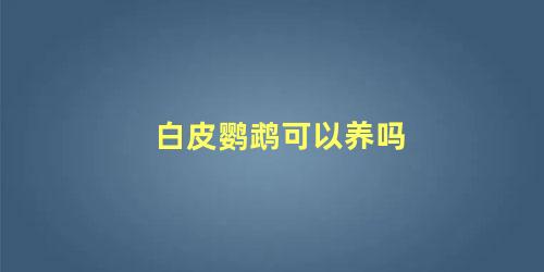 白皮鹦鹉可以养吗