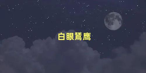 白眼鵟鹰