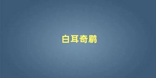 白耳奇鹛
