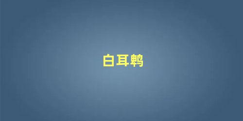 白耳鹎