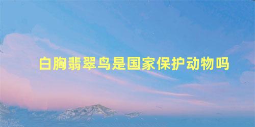 白胸翡翠鸟是国家保护动物吗