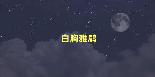 白胸雅鹛