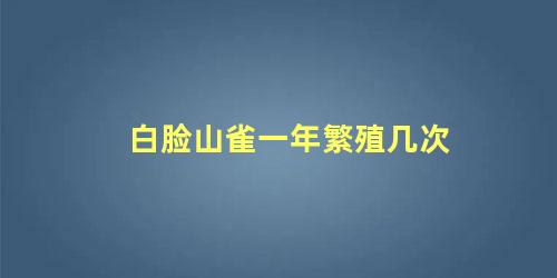 白脸山雀一年繁殖几次