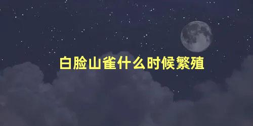白脸山雀什么时候繁殖