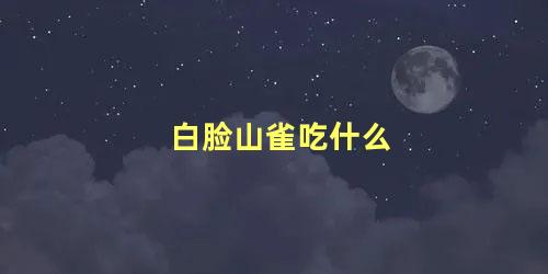 白脸山雀吃什么