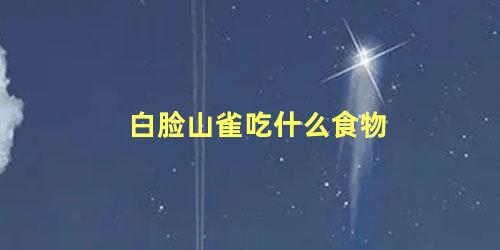 白脸山雀吃什么食物