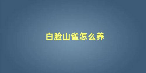 白脸山雀怎么养