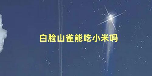 白脸山雀能吃小米吗