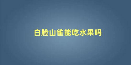 白脸山雀能吃水果吗
