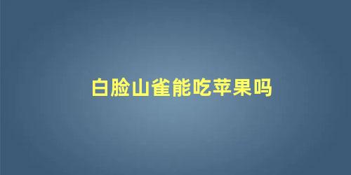 白脸山雀能吃苹果吗