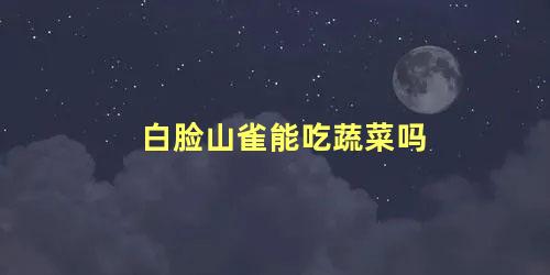 白脸山雀能吃蔬菜吗