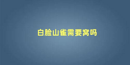 白脸山雀需要窝吗