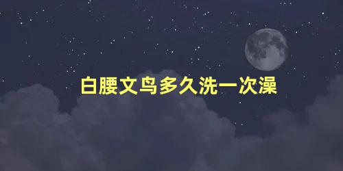 白腰文鸟多久洗一次澡
