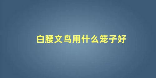 白腰文鸟用什么笼子好