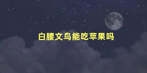 白腰文鸟能吃苹果吗