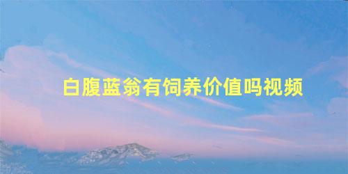 白腹蓝翁有饲养价值吗视频