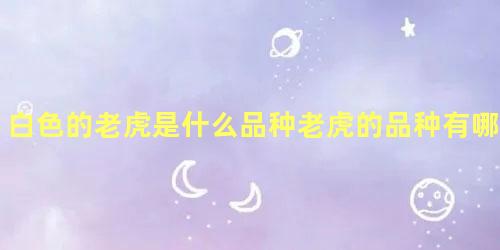 白色的老虎是什么品种老虎的品种有哪些