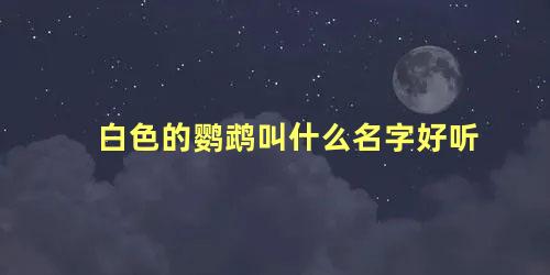 白色的鹦鹉叫什么名字好听