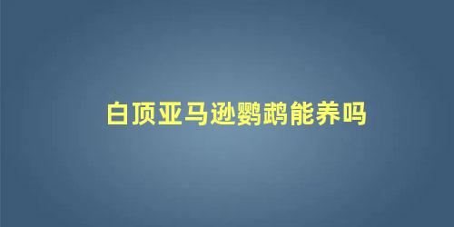 白顶亚马逊鹦鹉能养吗