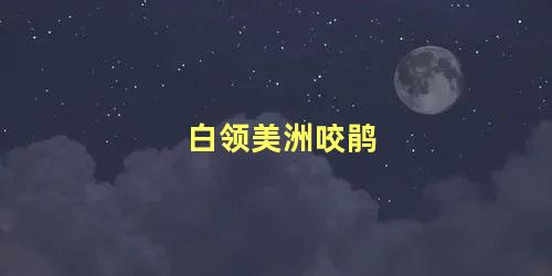 白领美洲咬鹃