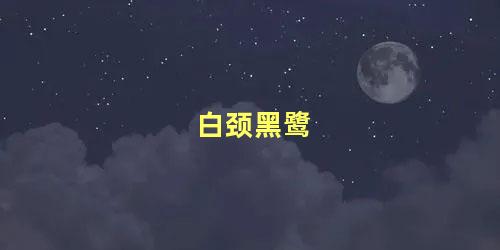 白颈黑鹭