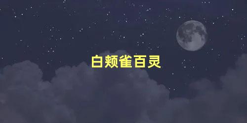 白颊雀百灵