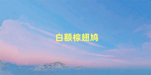 白额棕翅鸠