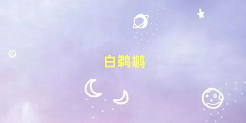 白鹈鹕