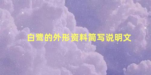 白鹭的外形资料简写说明文