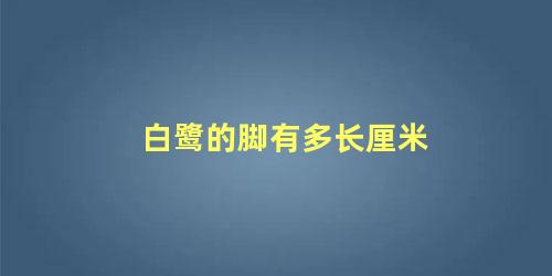 白鹭的脚有多长厘米
