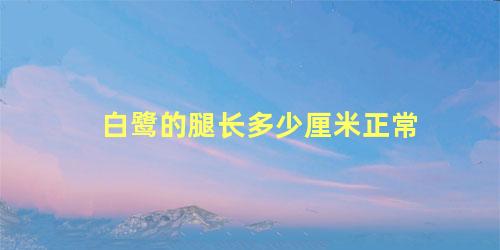 白鹭的腿长多少厘米正常