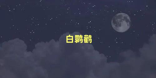 白鹮鹳