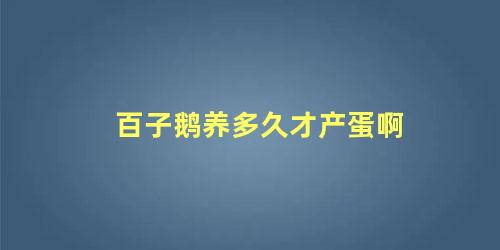 百子鹅养多久才产蛋啊