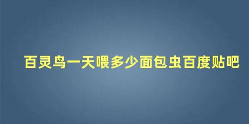 百灵鸟一天喂多少面包虫百度贴吧