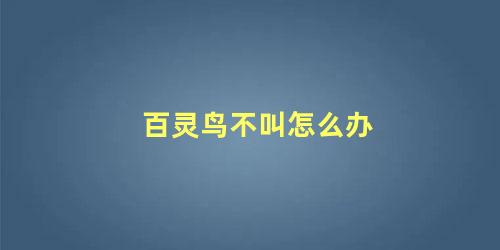 百灵鸟不叫怎么办
