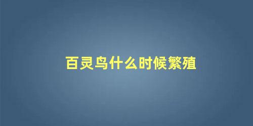 百灵鸟什么时候繁殖