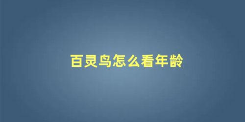 百灵鸟怎么看年龄