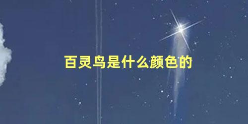 百灵鸟是什么颜色的