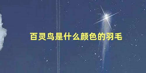 百灵鸟是什么颜色的羽毛