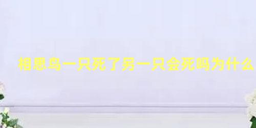 相思鸟一只死了另一只会死吗为什么