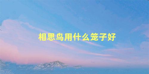 相思鸟用什么笼子好