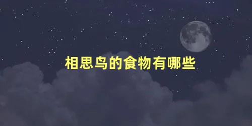 相思鸟的食物有哪些