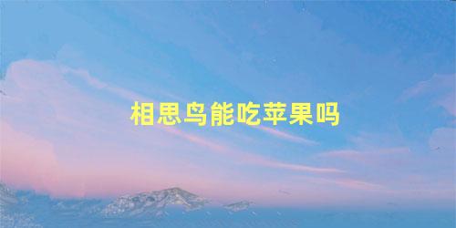 相思鸟能吃苹果吗
