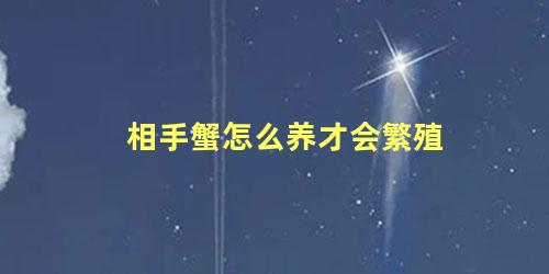 相手蟹怎么养才会繁殖