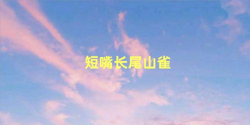 短嘴长尾山雀
