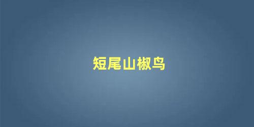 短尾山椒鸟