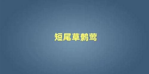 短尾草鹩莺