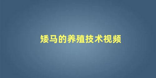 矮马的养殖技术视频