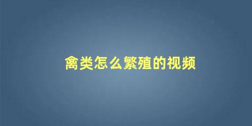禽类怎么繁殖的视频
